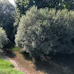 Muehleinsel Maison d'hôtes 3*
