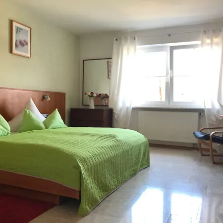 Muehleinsel Kenzingen