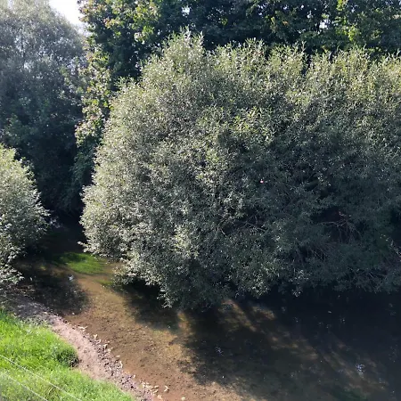 Muehleinsel Pensionat 3*