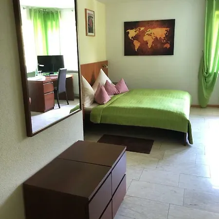 Muehleinsel Kenzingen