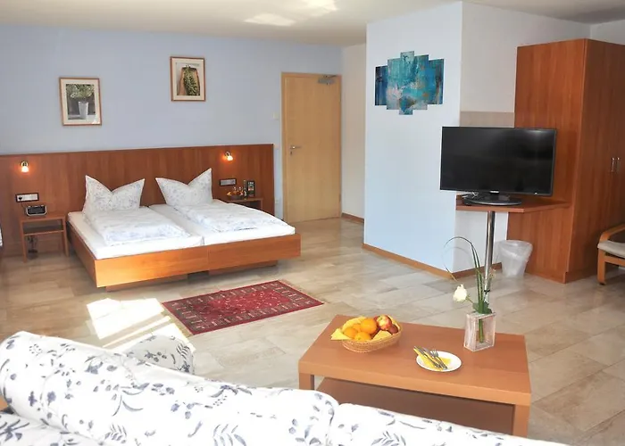 Muehleinsel Гостевой дом Кенцинген