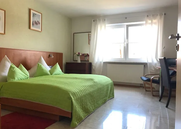 Muehleinsel Kenzingen