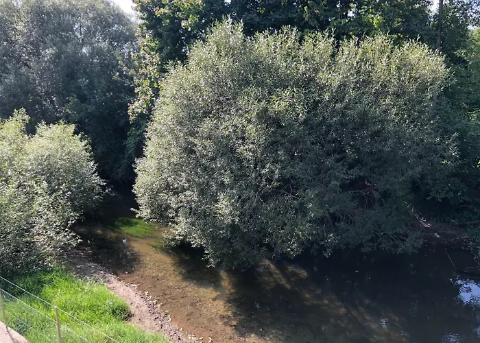 Muehleinsel Pensjonat 3*