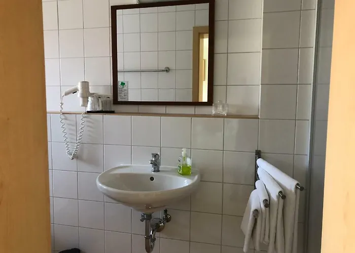 Pensjonat Muehleinsel Kenzingen